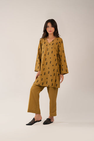 2 Piece Slub Khaddar Embroidered (CF0179)