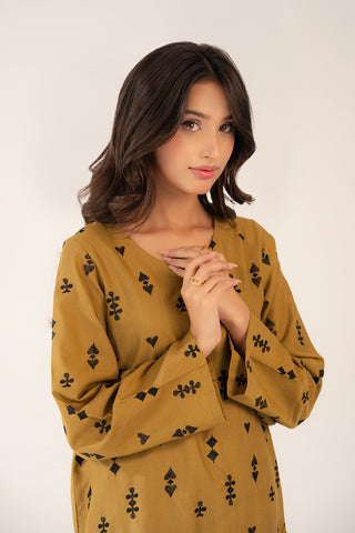 2 Piece Slub Khaddar Embroidered (CF0179)
