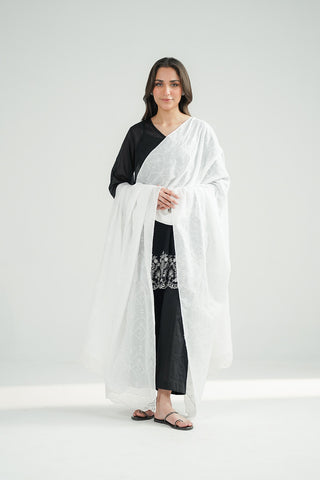 1 Piece Chiffon Printed Stole (CO0027)
