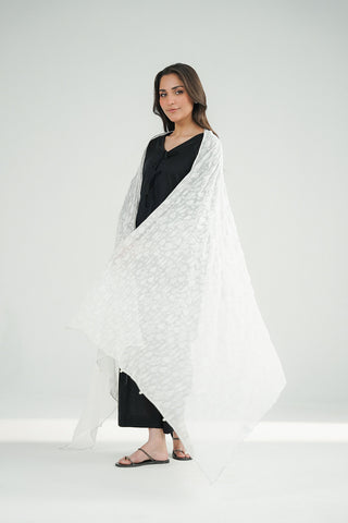 1 Piece Chiffon Printed Stole (CO0027)