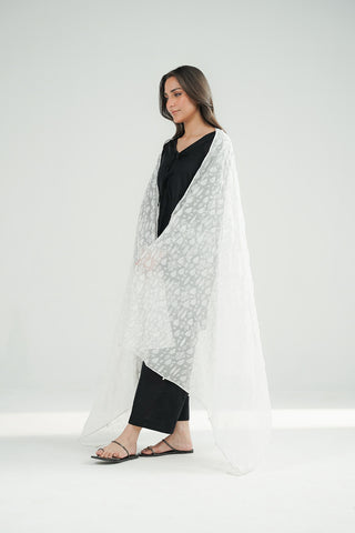 1 Piece Chiffon Printed Stole (CO0027)