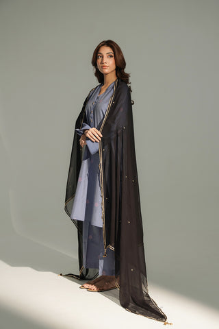 1 Piece Chiffon Embroidered Stole (CO0032)