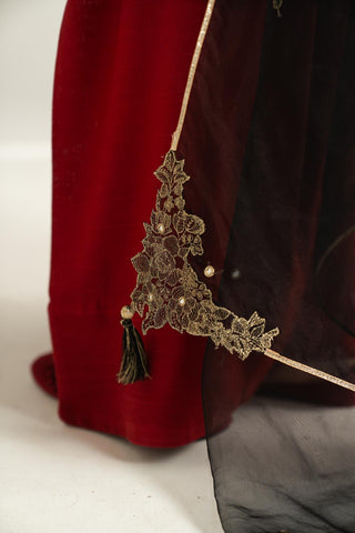 1 Piece Synthetic Organza Embroidered Stole (CO0037)