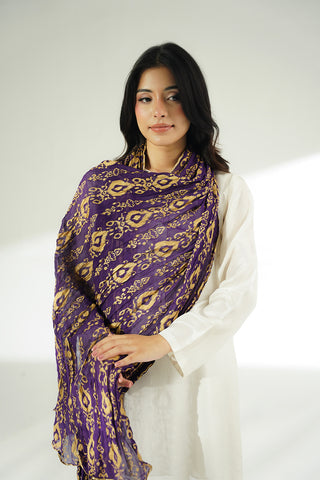 1 Piece Chiffon Printed Stole (CO0048)