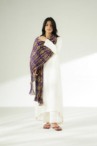 1 Piece Chiffon Printed Stole (CO0048)