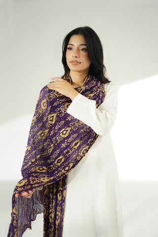 1 Piece Chiffon Printed Stole (CO0048)