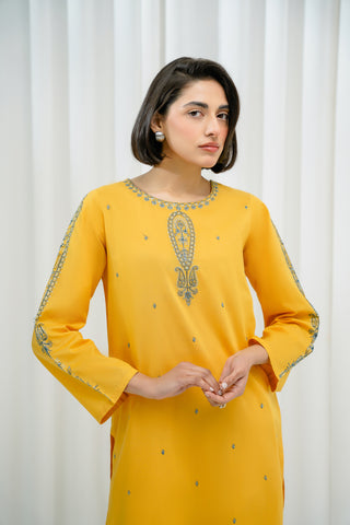 2 Piece Lawn Embroidered Suit (CP0040)