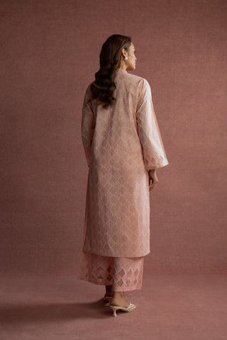 2 Piece Printed Lawn Printed Suit (CP0046)