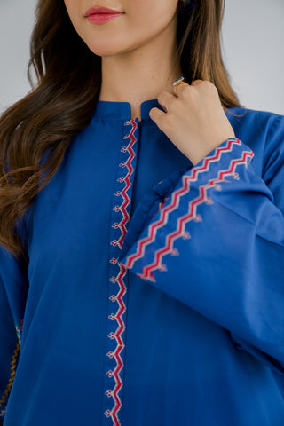 2 Piece Lawn Embroidered (CP0087)