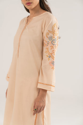 2 Piece Lawn Embroidered Suit (CP0089)