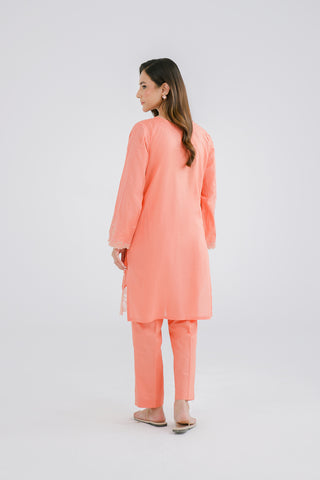 2 Piece Lawn Embroidered (CP0093)