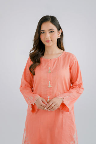 2 Piece Lawn Embroidered (CP0093)