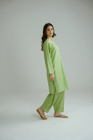 2 Piece Lawn Embroidered Suit (CP0197)