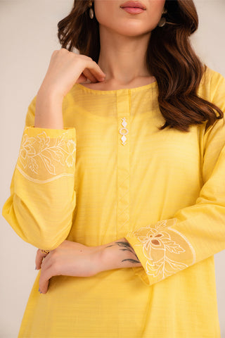 2 Piece Cotton Stripe Embroidered Suit (CP0231)