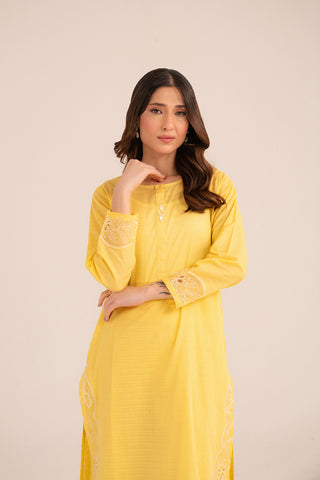 2 Piece Cotton Stripe Embroidered Suit (CP0231)