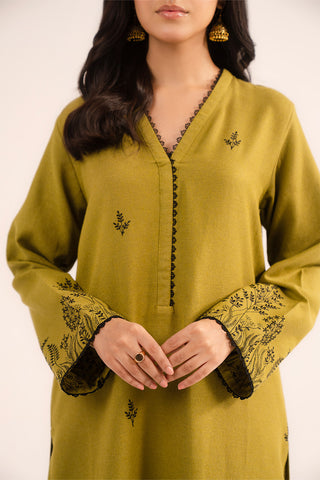 2 Piece Cotton Karandi Embroidered (CP0251)