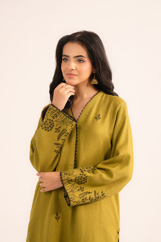 2 Piece Cotton Karandi Embroidered (CP0251)