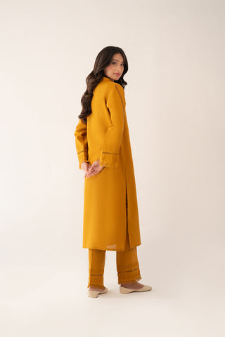 2 Piece Cotton Karandi Solid Suit (CP0265)