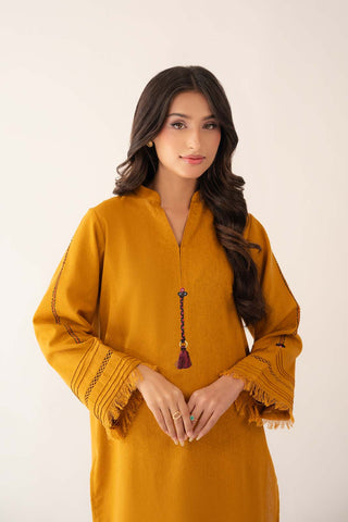 2 Piece Cotton Karandi Solid Suit (CP0265)
