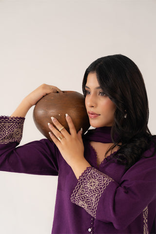 3 Piece Cotton Karandi Embroidered (CP0271)