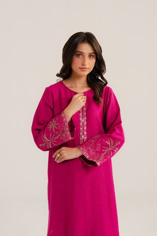 2 Piece Cotton Karandi Embroidered Suit (CP0293)