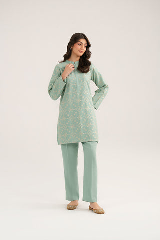 2 Piece Cotton Karandi Embroidered (CP0329)