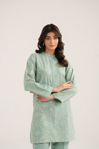 2 Piece Cotton Karandi Embroidered (CP0329)