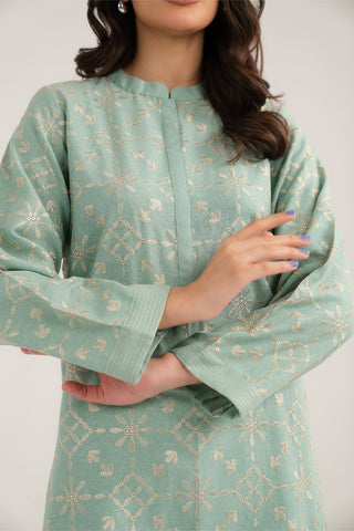 2 Piece Cotton Karandi Embroidered (CP0329)