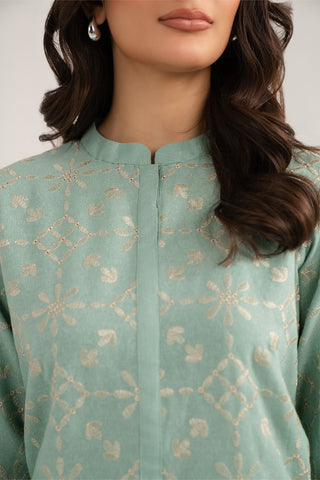 2 Piece Cotton Karandi Embroidered (CP0329)