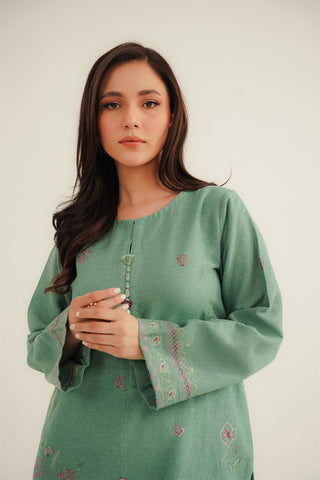 2 Piece Cotton Karandi Embroidered Suit (CP0330)