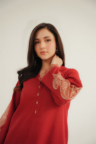 2 Piece Cotton Karandi Embroidered Suit (CP0344)