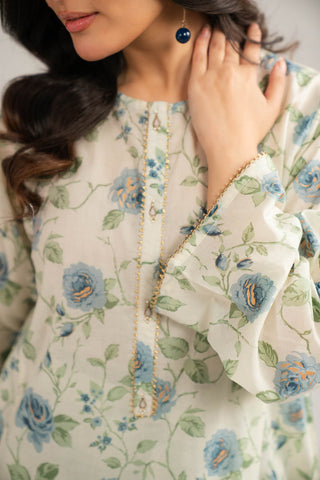 2 Piece Printed Lawn Printed Suit (CP0376)