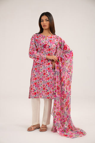 2 Piece Printed Lawn Printed Suit (CP0384)