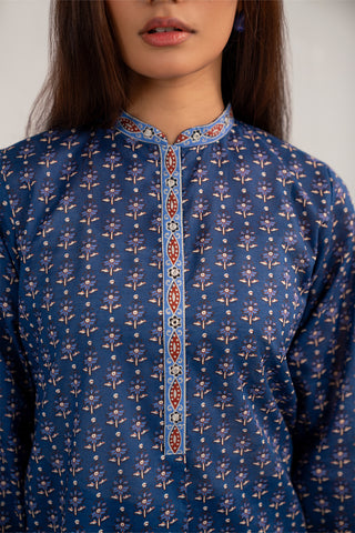 2 Piece Printed Lawn Printed Suit (CP0387)