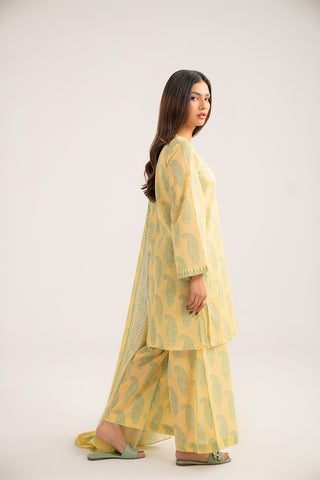 3 Piece Printed Lawn Printed Suit (CP0394)