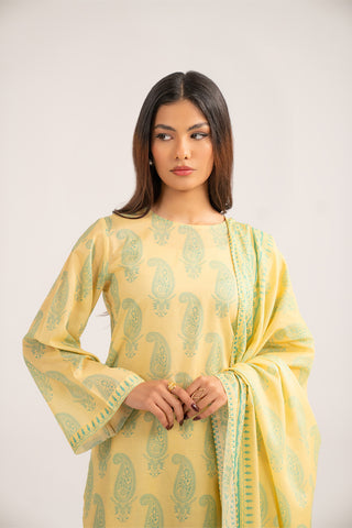 3 Piece Printed Lawn Printed Suit (CP0394)