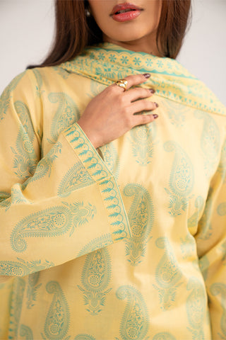 3 Piece Printed Lawn Printed Suit (CP0394)