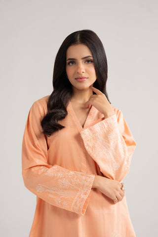 2 Piece Strip Cotton Embroidered Suit (CP0437)