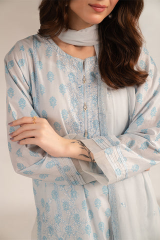 2 Piece Printed Lawn Embroidered (CS0010)