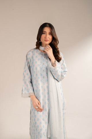 2 Piece Printed Lawn Embroidered (CS0010)