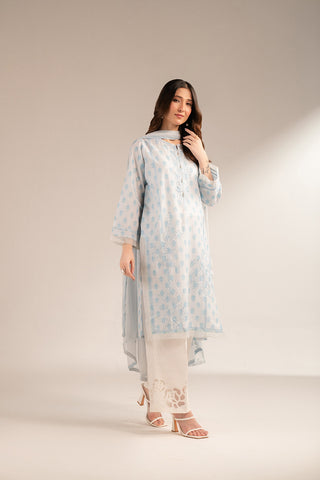 2 Piece Printed Lawn Embroidered (CS0010)
