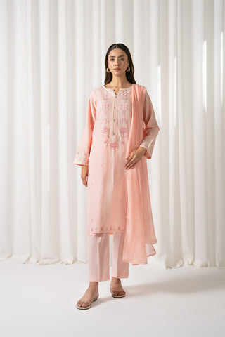 3 Piece Cotton Embroidered (CS0045)