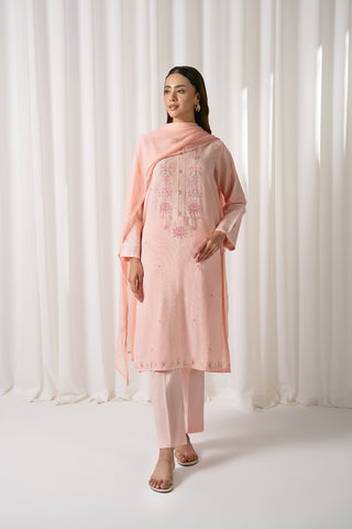 3 Piece Cotton Embroidered (CS0045)
