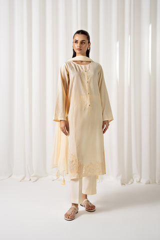 3 Piece Cotton Embroidered (CS0047)