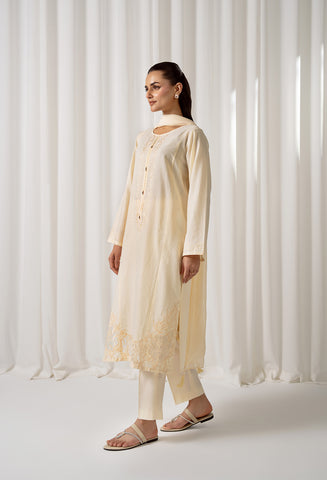 3 Piece Cotton Embroidered (CS0047)