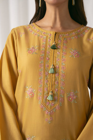 2 Piece Lawn Embroidered (CS0063)