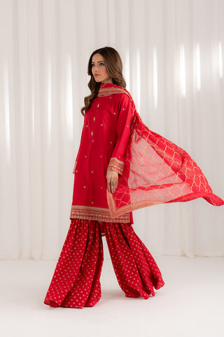 3 Piece Lawn Embroidered Suit (CS0075)