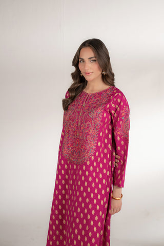 2 Piece Printed Lawn Embroidered Suit (CS0100)