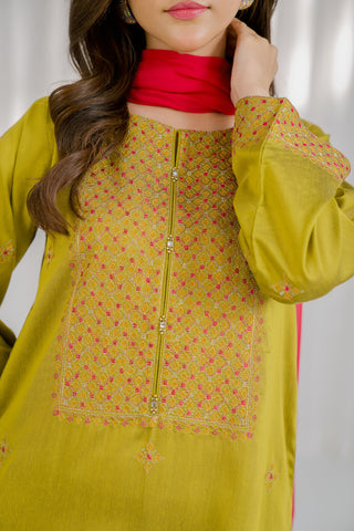 3 Piece Cotton Silk Embroidered Suit (CS0107)