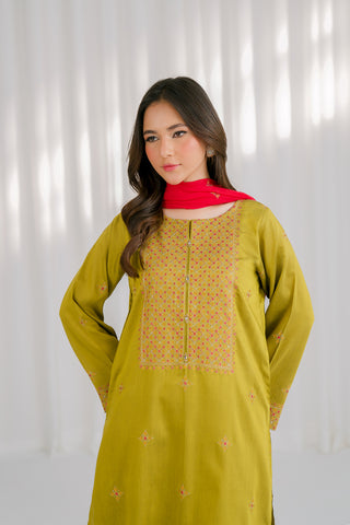 3 Piece Cotton Silk Embroidered Suit (CS0107)
